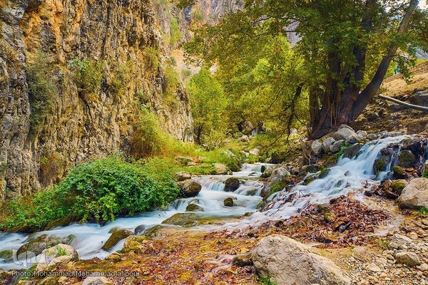 طبیعت پاییزی روستای گردشگری شیوند