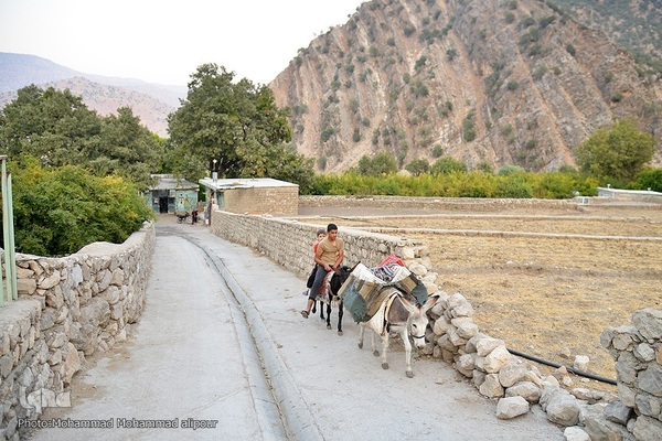 طبیعت پاییزی روستای گردشگری شیوند