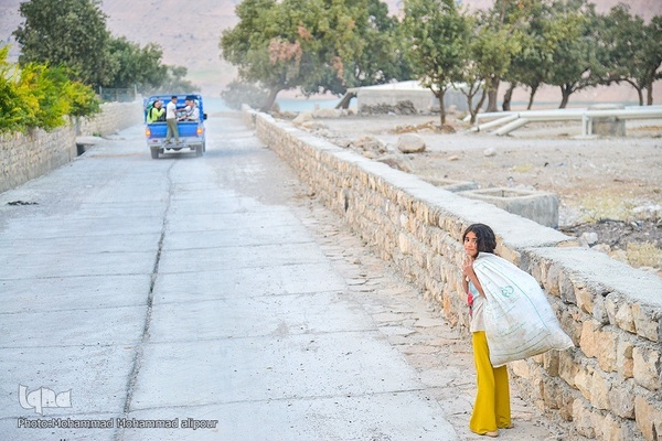طبیعت پاییزی روستای گردشگری شیوند