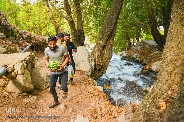 طبیعت پاییزی روستای گردشگری شیوند