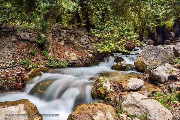 طبیعت پاییزی روستای گردشگری شیوند