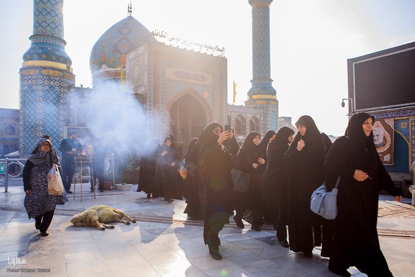 تشرف 313 خادمه حرم امام زاده صالح به قم