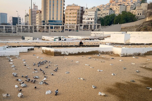 حال و هوای قبرستان ابوطالب،در روز شهادت حضرت زهرا سلام الله علیها