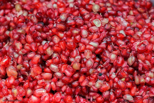 برداشت انارِ «قصردشت» شیراز‎