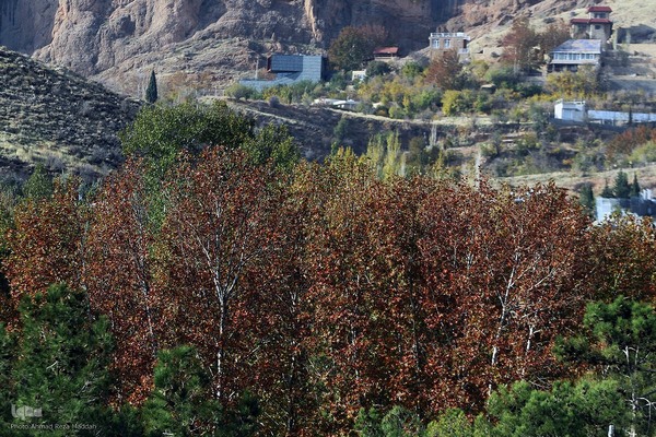 طبیعت پاییزی روستای قلات شیراز