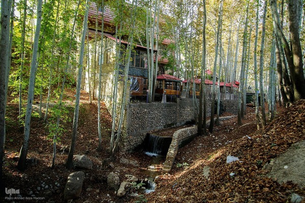 طبیعت پاییزی روستای قلات شیراز