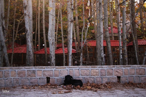 طبیعت پاییزی روستای قلات شیراز