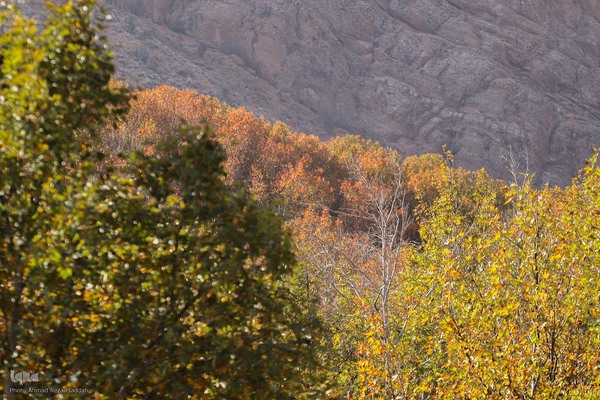 طبیعت پاییزی روستای قلات شیراز