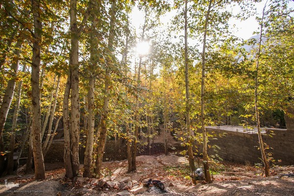 طبیعت پاییزی روستای قلات شیراز