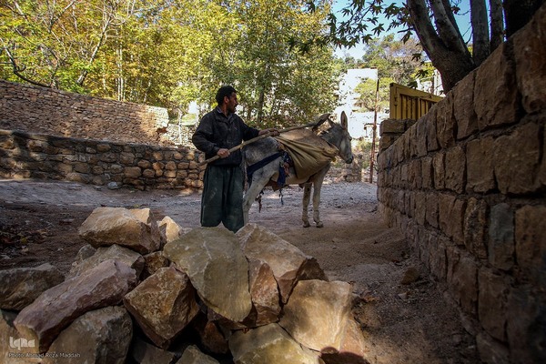 طبیعت پاییزی روستای قلات شیراز