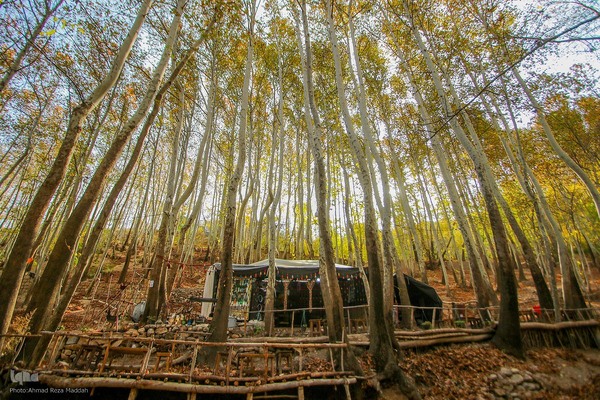 طبیعت پاییزی روستای قلات شیراز