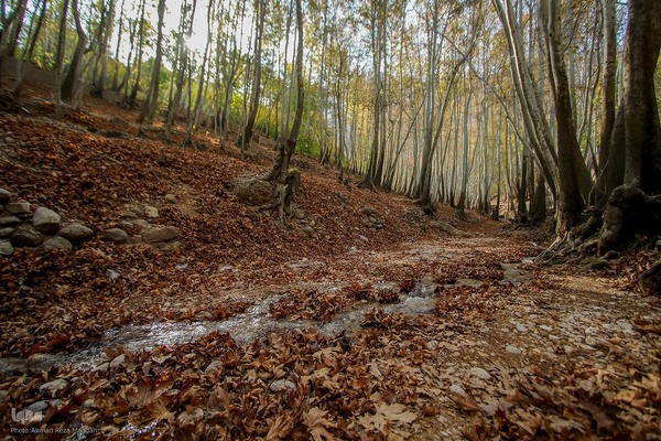 طبیعت پاییزی روستای قلات شیراز