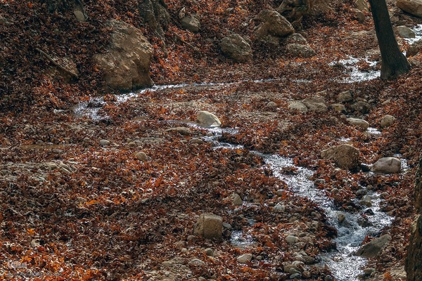 طبیعت پاییزی روستای قلات شیراز