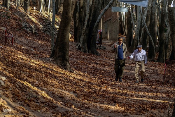 طبیعت پاییزی روستای قلات شیراز