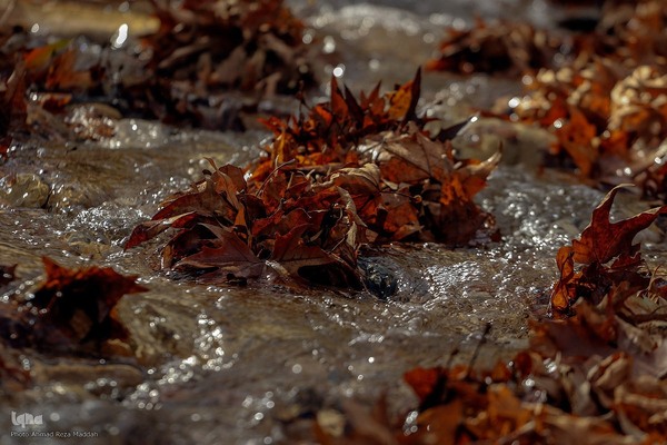 طبیعت پاییزی روستای قلات شیراز