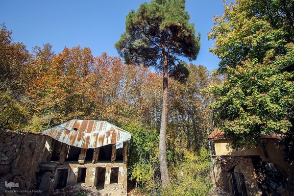 طبیعت پاییزی روستای قلات شیراز