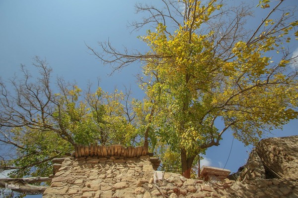 طبیعت پاییزی روستای قلات شیراز