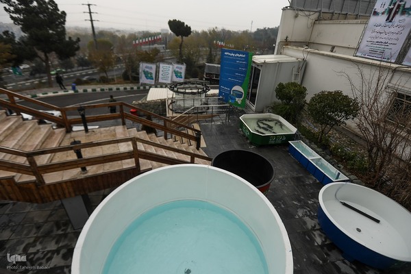 مراسم افتتاحیه چهارمین نمایشگاه دستاوردهای نهاد وقف