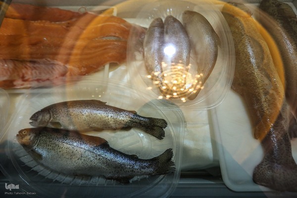 مراسم افتتاحیه چهارمین نمایشگاه دستاوردهای نهاد وقف