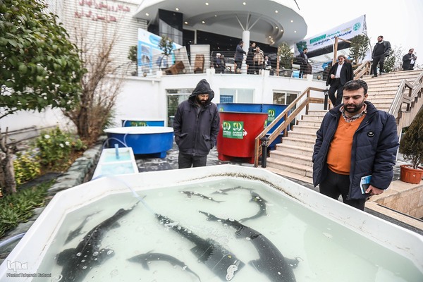 مراسم افتتاحیه چهارمین نمایشگاه دستاوردهای نهاد وقف