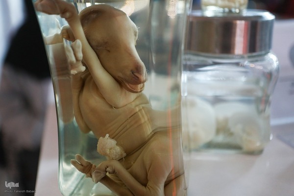 بیست و پنجمین نمایشگاه دستاوردهای پژوهش، فناوری و فن بازار