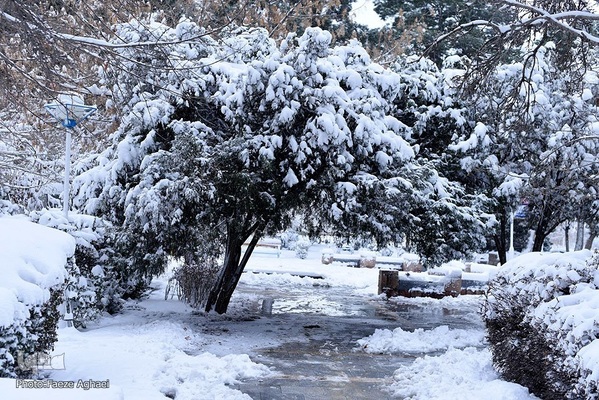 بارش برف پاییزی در مشهد