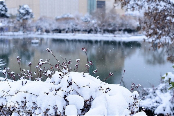بارش برف پاییزی در مشهد