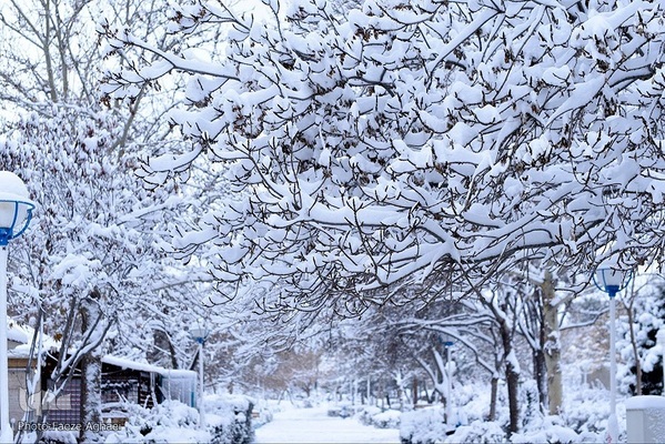 بارش برف پاییزی در مشهد