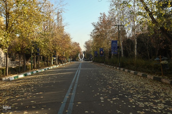 آخرین روزهای برگ‌ریزان دانشگاه تهران