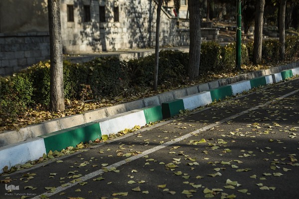 آخرین روزهای برگ‌ریزان دانشگاه تهران