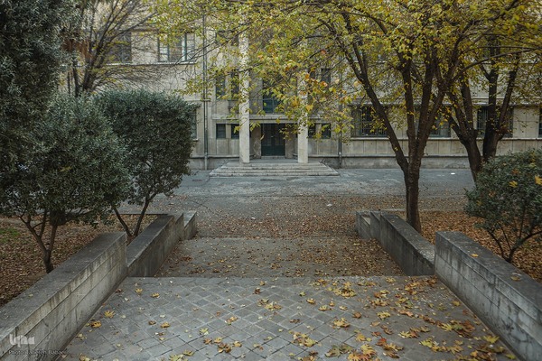 آخرین روزهای برگ‌ریزان دانشگاه تهران