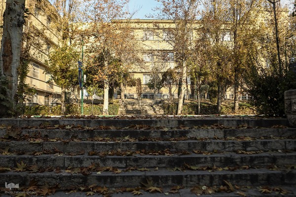 آخرین روزهای برگ‌ریزان دانشگاه تهران