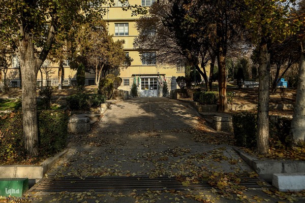 آخرین روزهای برگ‌ریزان دانشگاه تهران