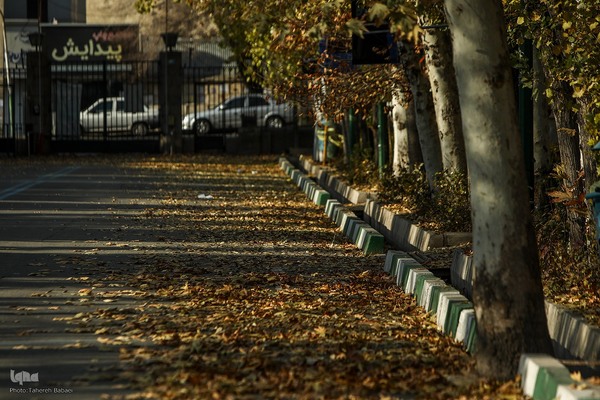 آخرین روزهای برگ‌ریزان دانشگاه تهران