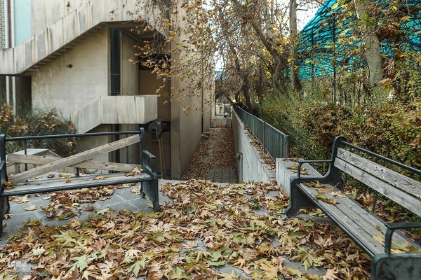 آخرین روزهای برگ‌ریزان دانشگاه تهران