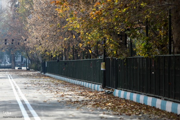 آخرین روزهای برگ‌ریزان دانشگاه تهران