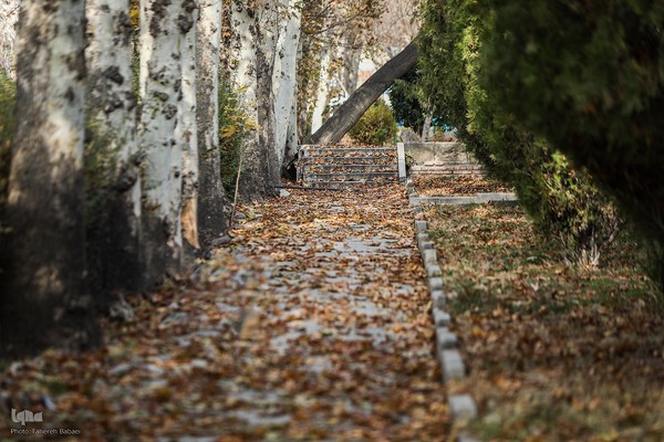 آخرین روزهای برگ‌ریزان دانشگاه تهران