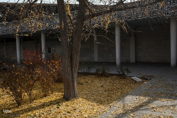 آخرین روزهای برگ‌ریزان دانشگاه تهران