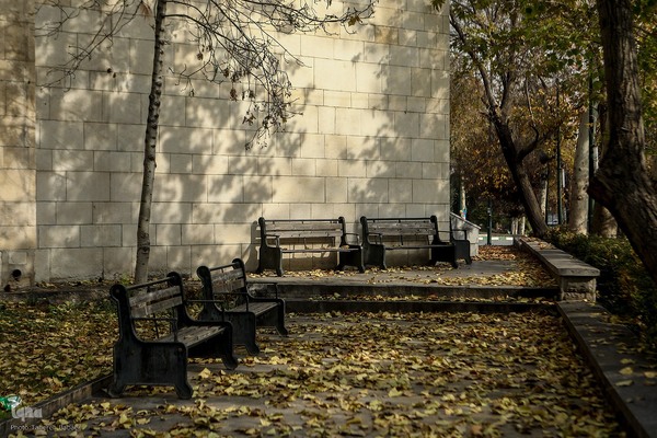آخرین روزهای برگ‌ریزان دانشگاه تهران