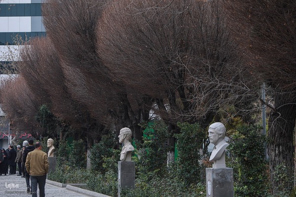 آیین رونمایی از ۸ سردیس شهدای دانشجو