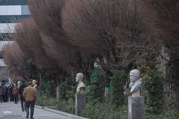 آیین رونمایی از ۸ سردیس شهدای دانشجو