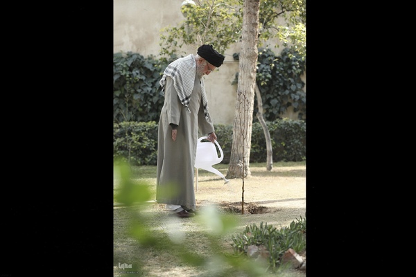 کاشت نهال در روز درختکاری