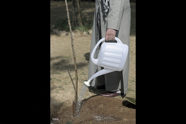 کاشت نهال در روز درختکاری