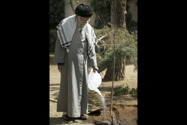 کاشت نهال در روز درختکاری