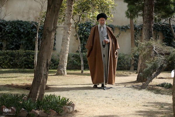 کاشت نهال در روز درختکاری