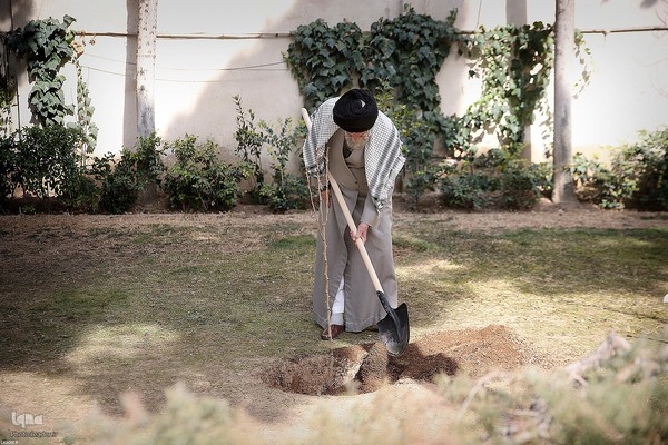 کاشت نهال در روز درختکاری