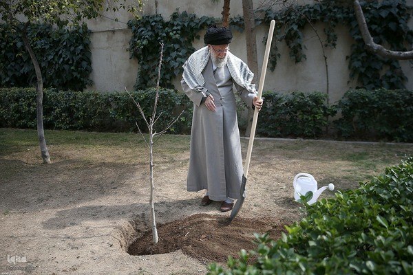 کاشت نهال در روز درختکاری