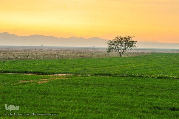 پیوند انسان و طبیعت در اندیکا