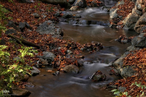 قاب هزار رنگ پاییز در مجموعه تاریخی سعدآباد