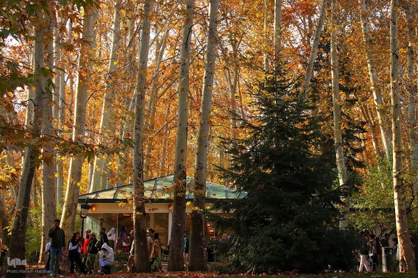 قاب هزار رنگ پاییز در مجموعه تاریخی سعدآباد